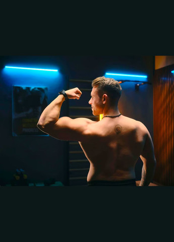 Турник настенный TX-030PB черный TREX Sport (341328036)