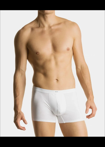 Мужские шорты боксеры Atlantic (300368425)