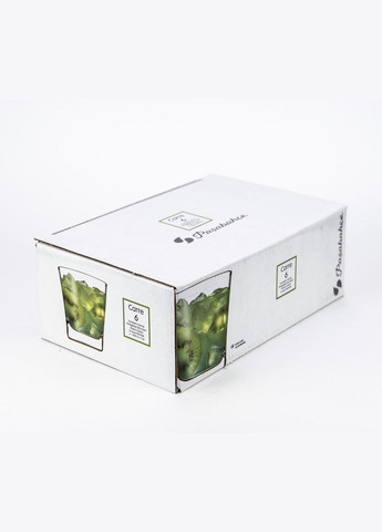 Набір склянок Baltic 200 мл 6 шт (41280) Pasabahce (334006051)