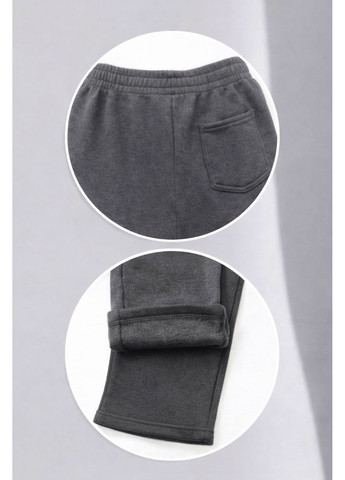 Зимові спортивні штани (батал) теплі Ластівка (371918532)