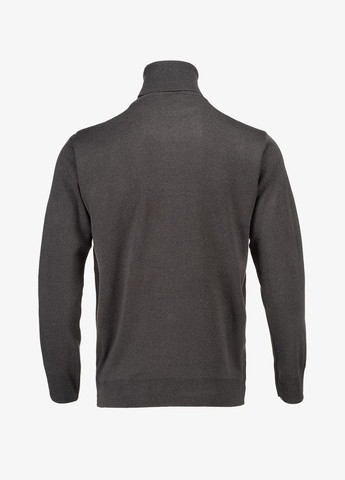 Графитовый демисезонный свитер однотонный мужской 1124 графитовый (2000990010568d) shop (2000990010568) Akin Trico