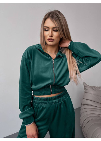 Велюровий костюм двійка зі стильним кроєм No Brand (366238481)