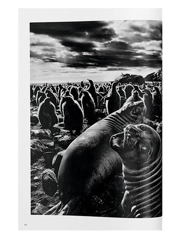 Книга Sebastiao Salgado. Genesis (9783836538725) Taschen (364654498)