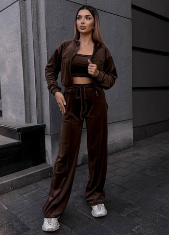 Базовий повсякденний демісезонний велюровий костюм двійка: кофта на блискавці + штани Tik-Tak (358058669)