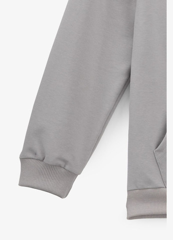 Худі з принтом для хлопчика 325447 134 см shop (2000990809520) ALG (361499470)