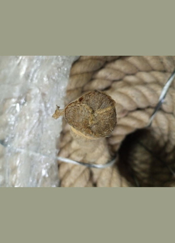 Линьва ""джутовая диаметром 24мм Birlik (313400426)