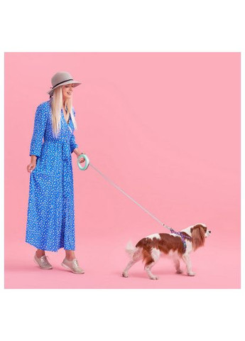 Поводок для собак R-leash светоотражающая лента XS-M до 40 кг 2.9 м (81275) WAUDOG R-leash світловідбиваюча стрічка XS-M до 40 кг 2.9 (367775959)