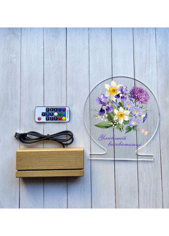 Нічник Улюбленій виховательці (принт 94) CASE CONTROL (355408293)