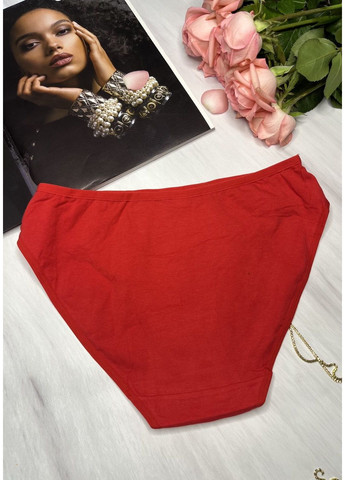 Трусики слепые хлопковые Lavolle (349513353)