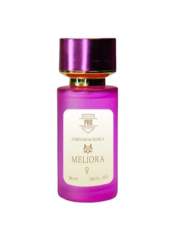 Meliora ТЕСТЕР PRO женский 58 мл No Brand (391595816)