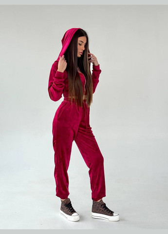 Жіночий спортивний костюм з велюру Style Point (333655886)