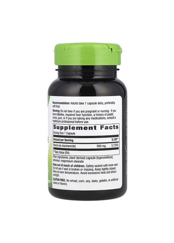 Добавка Niacinamide 500 mg - 100 caps Nature's Way (364201661)