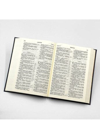 Біблія. Синодальний переклад Українське Біблійне Товариство (369757441)