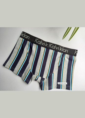 Мужские боксерки хлопковые kalviklan размер М. 46 REDO (368787720)