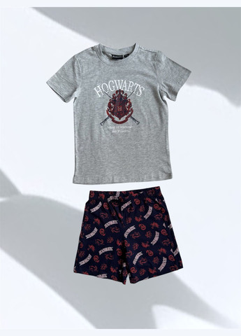 Серо-синяя пижама Harry Potter