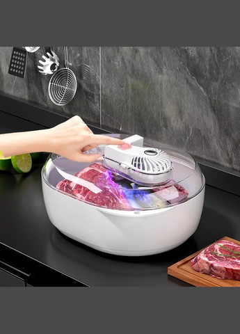 Контейнер для безпечного розморожування та стерилізації продуктів No Brand (317222372)