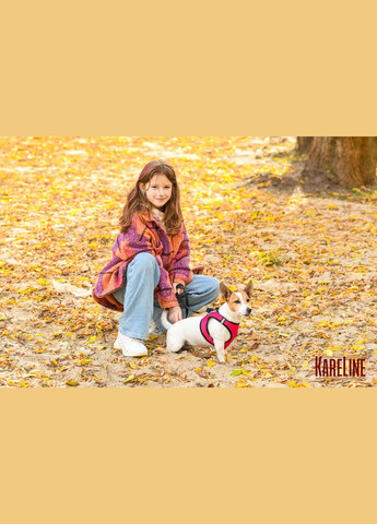 Шлей из сетчатого нейлона, с пластиковой пряжкой и светоотражающими элементами L 430-480 мм. Kareline (339075660)