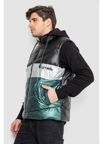 Жилетка чоловіча демісезонна, 244R990013 Ager (361225690)