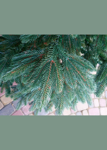 Ялинка лита "Преміум" — 180 см No Brand (307827520)