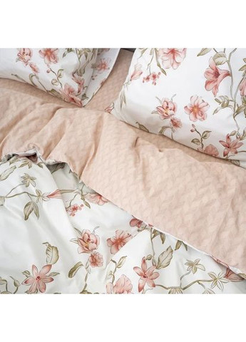 Комплект постільної білизни двоспальний ранфорс 24351 100% бавовна Viluta (372127927)