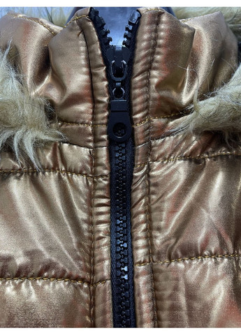 Золотиста куртка жіноча блискуча капюшон осіння 38 золото No Brand
