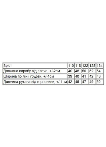 Худі для хлопчика (з капюшоном) (p-12415) Носи своє (363043519)