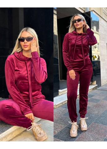 Костюм велюр спорт Туреччина,штани та кофта з капюшоном Україна (362557419)