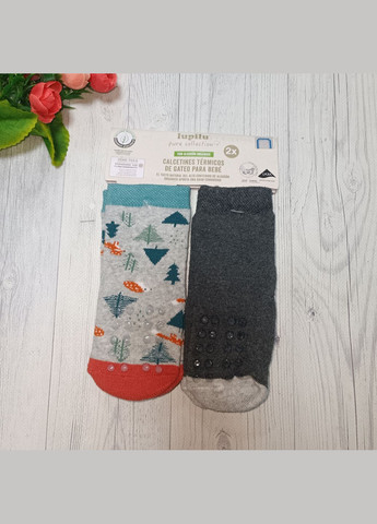 Комбіновані набір утеплених шкарпеток (носків) для хлопчика Lupilu всесезон (299897932)