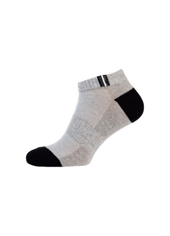 Сірі набір (5 шт) чоловічих шкарпеток MZ (302739684)