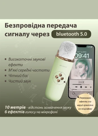 Портативная колонка с микрофоном Platinum C-20 BT/TF/USB/FM с влагозащитой 5 Вт, зеленая No Brand (351365833)