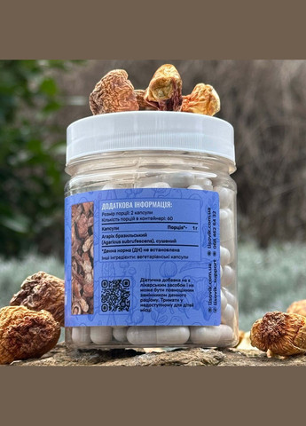 Агарік бразильський, капсули 120 шт по 0.5 г Лісовик (334292904)