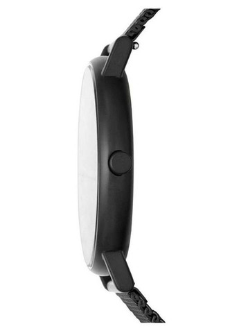 Мужские наручные часы Skagen SKW6579 (361970089)