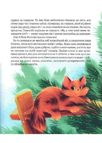 Книга Рождественские дела детектива Жерара. Иван Андрусяк (на украинском языке) Виват (322123292)