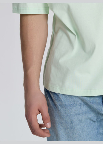 Салатовая футболка мужская светло-бежевого цвета с коротким рукавом Роза