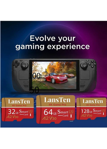 MicroSD Карта памяти LansTen 64GB Class 10 с Адаптером и USB Картридером China (365823003)