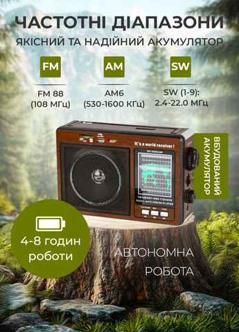Портативный радиоприемник AM/FM/SW1-SW9 и MP3 работа от сети и аккумулятора с USB, SD, MICRO SD Україна (347234725)