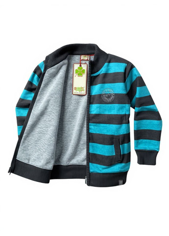 Кофта утепленная на трикотажной подкладке Сине-Графитовая (0359) Quadri foglio (355258876)