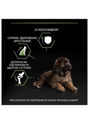 Сухий корм для собак Dog Large Puppy Robust з куркою і рисом 12 кг (7613035120341) Purina Dog Large Puppy Robust з куркою і рисом 12 кг (397520596)