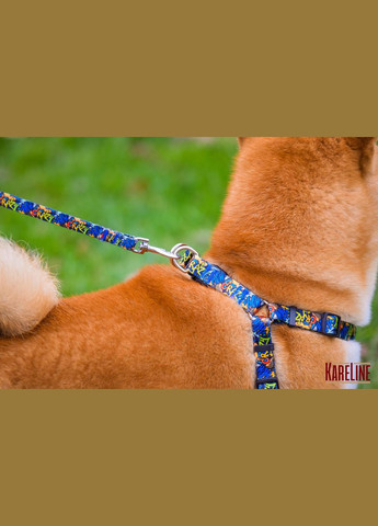 Шлея з нейлону з візерунком "CRAZY" та пластиковою пряжкою 25 мм А:500-680 мм, В:500-720 мм Kareline (339075193)