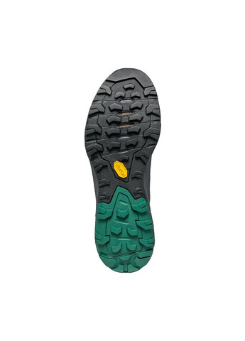 Цветные всесезонные кроссовки мужские rapid gtx черный-зеленый Scarpa