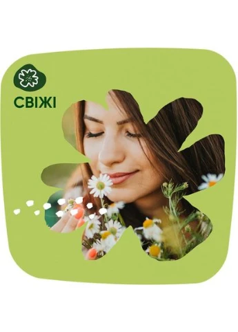 Ежедневные прокладки Samomile Light 100 шт (80759823) Naturella (372985339)