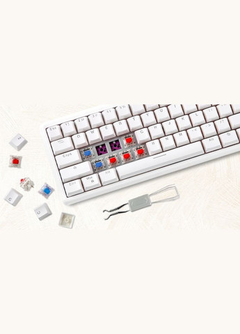 Клавиатура беспроводная SK66 Gateron Red Hot Swap White (mtsk66wmr) Motospeed (336951071)