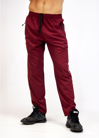 Штани чоловічі GF SPORT Брюки (317276735)