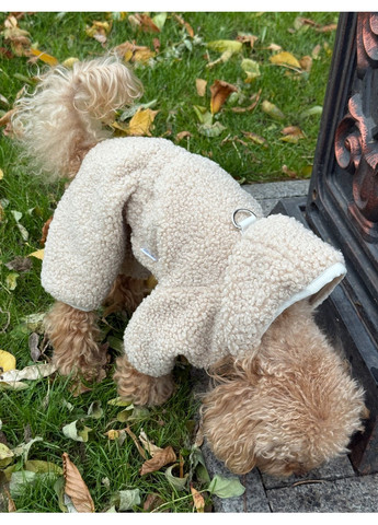 Комбінезон Тедді для собак Mateo (372478930)