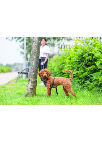 Шлейка CityStyle H-harness для собак хлопок S–M 42–60 см 15 мм черная Trixie (372504988)