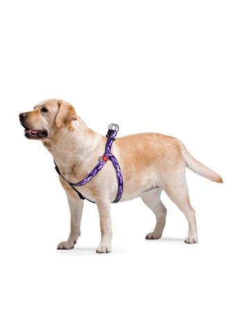 Шлея для собак анатомическая Nylon камо пластиковый фастекс Ш 20 мм Дл 50-80 см WAUDOG (292175307)