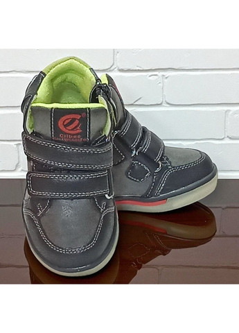 Демісезонні черевики утеплені на флісі хайтопи на липучках для хлопчика Клібі Clibee (361027964)