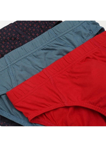 Трусы C&A (365771372)