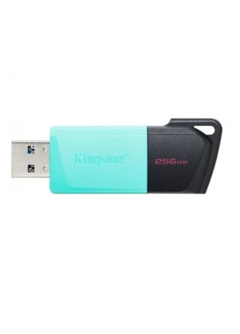 USB флеш накопичувач 256GB DataTraveler Exodia M USB 3.2 (DTXM/256GB) Kingston (396879661)