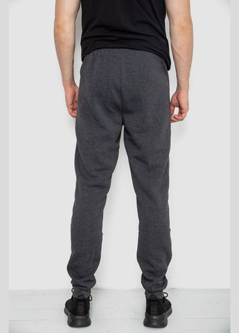 Спортивні штани чоловічі на флісі,, Ager (317426950)